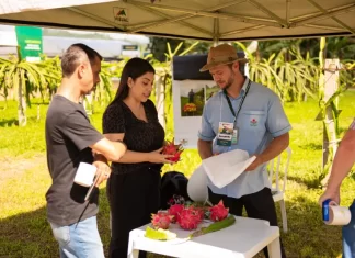 Jacinto Machado: Maior evento do Agro movimenta diversos setores da região nesta semana