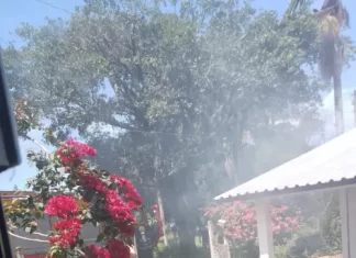Incêndio criminoso em Balneário Gaivota