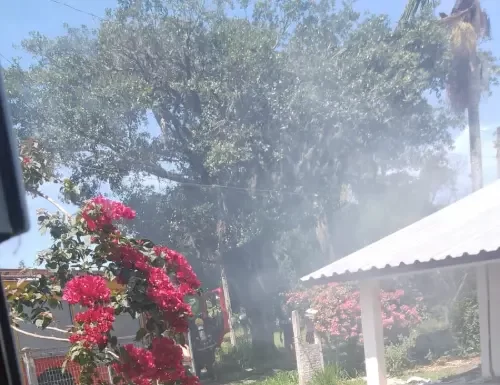 Incêndio criminoso em Balneário Gaivota