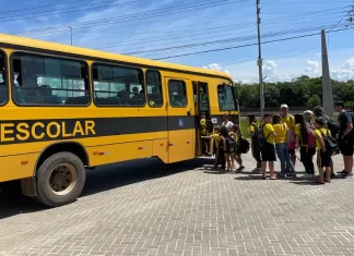 Rede municipal com matrículas abertas, em Santa Rosa do Sul