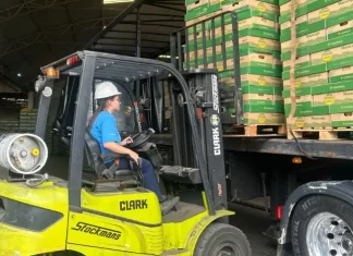 Pomar Cooperja comemora recorde de recebimento de frutas