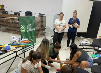 Professores e funcionários de São João do Sul recebem capacitação em primeiros socorros