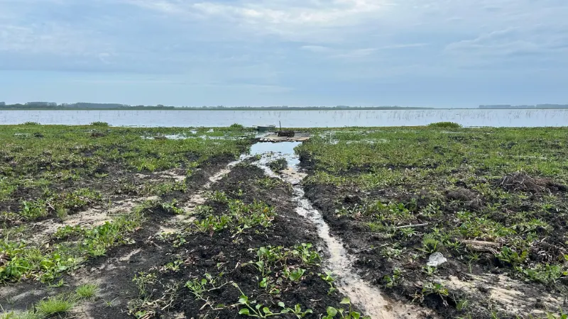 WhatsApp Image 2025-03-20 at 15.10.31 (1)