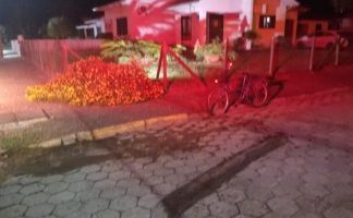 Tragédia no trânsito: Idosa morre após colisão com caminhão de lixo em Turvo