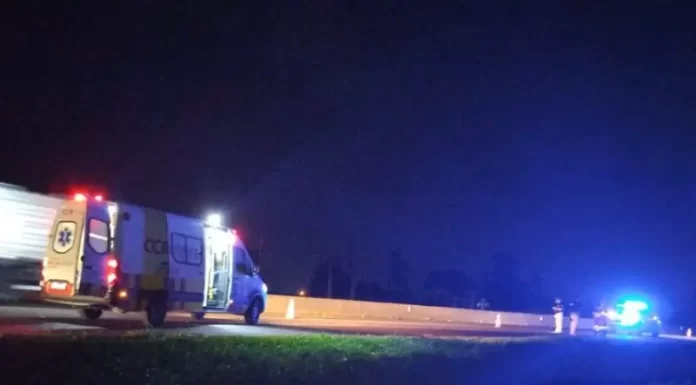 Pedestre morre atropelado na BR 101 em Araranguá