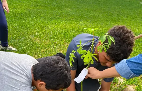 São João do Sul: Projeto “Floresta Viva” mobiliza estudantes para o plantio de árvores nativas na comunidade de Barrinha!