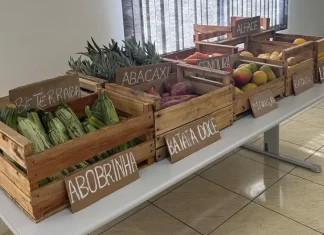 Santa Rosa do Sul está estimulando a alimentação saudável
