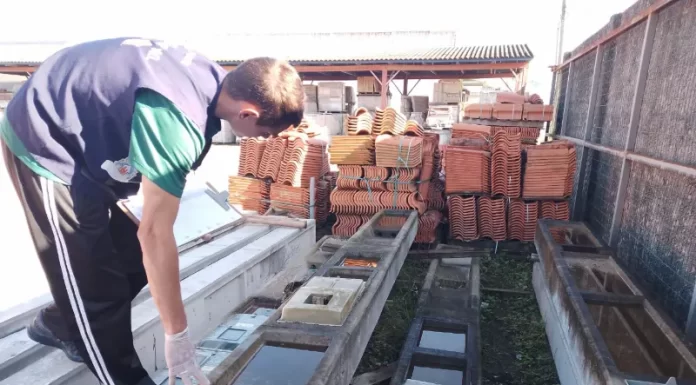 Balneário Gaivota acende alerta contra a dengue: 146 focos registrados até o momento.