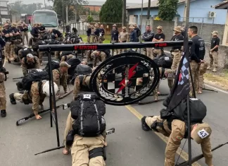 Policiais participam de curso de táticas policiais
