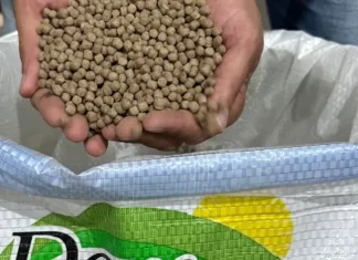 Rações à base de arroz garantem nutrição e sabor na nova linha da Cooperja