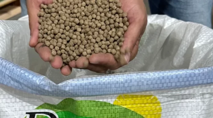 Rações à base de arroz garantem nutrição e sabor na nova linha da Cooperja