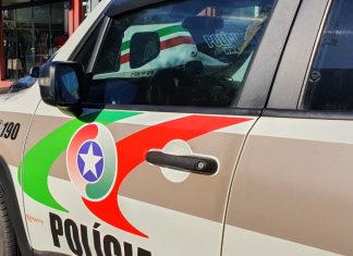 Faro certeiro: Cão policial acha maconha escondida em casa de araranguá