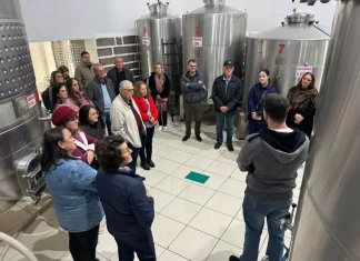 Pequenos empreendedores visitam vinícolas em ação de incentivo ao empreendedorismo