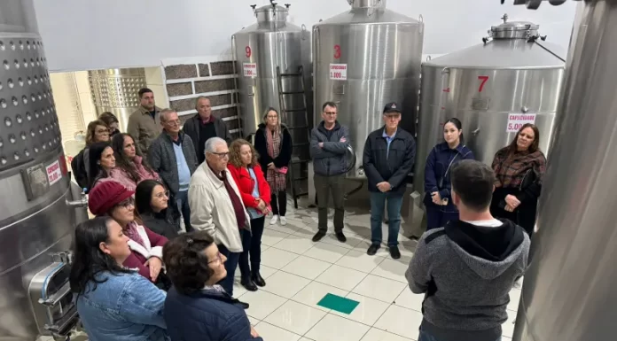 Pequenos empreendedores visitam vinícolas em ação de incentivo ao empreendedorismo