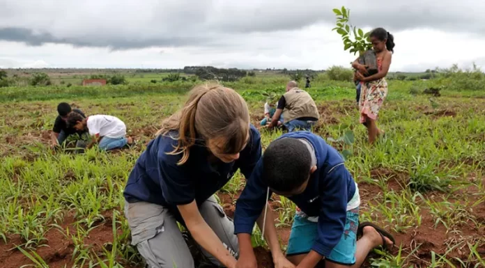 Sombrio celebra o Junho Verde com ações de educação ambiental e sustentabilidade
