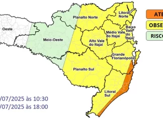 Defesa Civil alerta para intensas rajadas de vento entre segunda (28) e terça-feira (29)