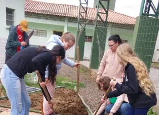 Praia Grande: Projeto de agricultura familiar é realizado em escola