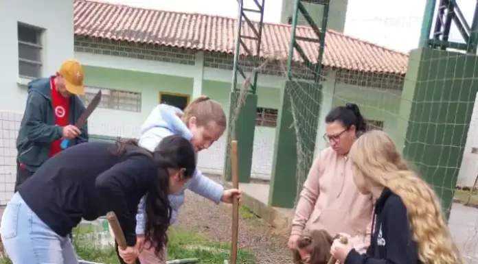 Praia Grande: Projeto de agricultura familiar é realizado em escola
