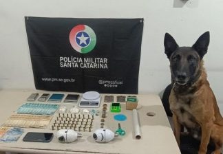 Preso por tráfico e munição restrita em Turvo