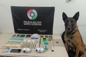 Preso por tráfico e munição restrita em Turvo