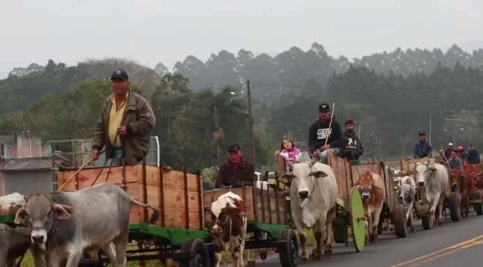 Carros de Boi chegam ao Parque Municipal e marcam o início da 1ª Festa do Carro de Boi de São João do Sul