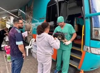 Gaivota realiza primeiro mutirão de castração de cães e gatos
