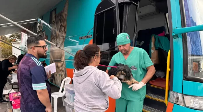 Gaivota realiza primeiro mutirão de castração de cães e gatos
