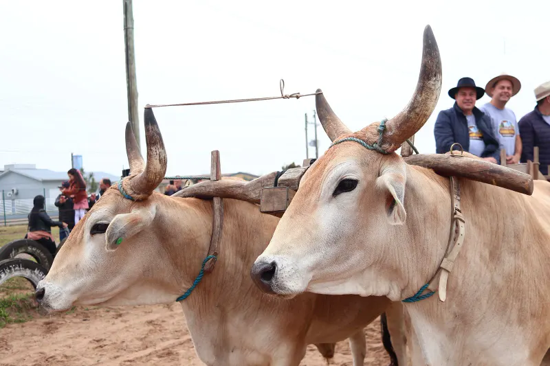 WhatsApp Image 2025-07-15 at 14.15.10 (2)