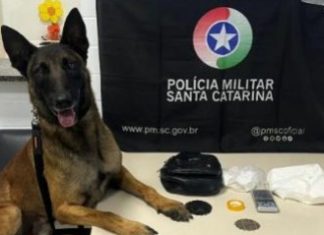 Polícia encontra arma e cocaína escondidas em berço durante operação em Turvo