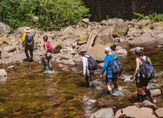 Trilha do Rio do Boi, em Praia Grande, é reconhecida entre as melhores experiências turísticas da América do Sul
