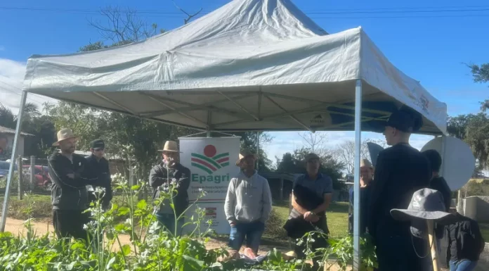 Cooperja realiza Campo de Inverno, edição itinerante em Içara