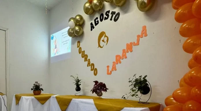 Ação com gestantes em Santa Rosa do Sul celebra o Agosto Dourado e Laranja