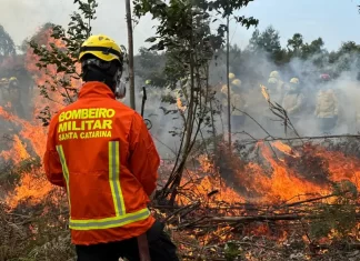 Sombrio forma bombeiros militares em curso de combate a incêndios florestais