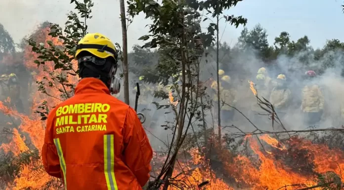 Sombrio forma bombeiros militares em curso de combate a incêndios florestais