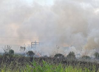Mulher tem casa ameaçada após incêndio criminoso em São João do Sul