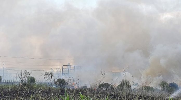 Mulher tem casa ameaçada após incêndio criminoso em São João do Sul