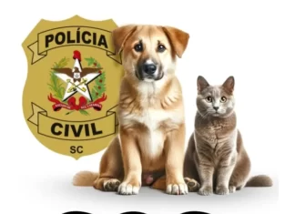 Idosos são indiciados por maus tratos a animal em Araranguá