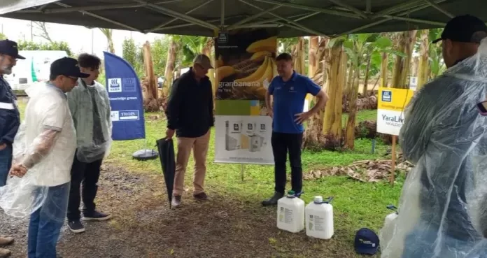 Cooperja e Epagri sediam Encontro Regional de Bananicultores
