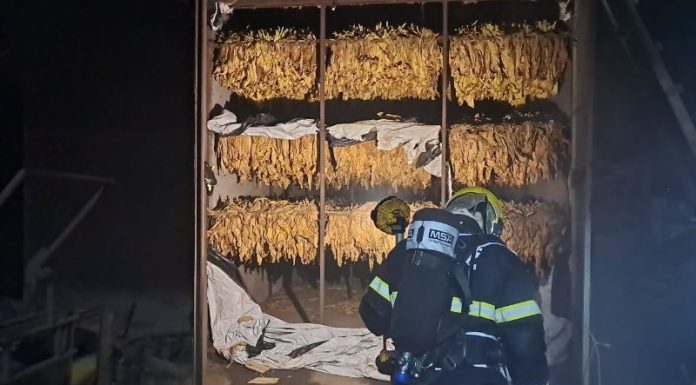 Incêndio atinge estufa de fumo em Araranguá
