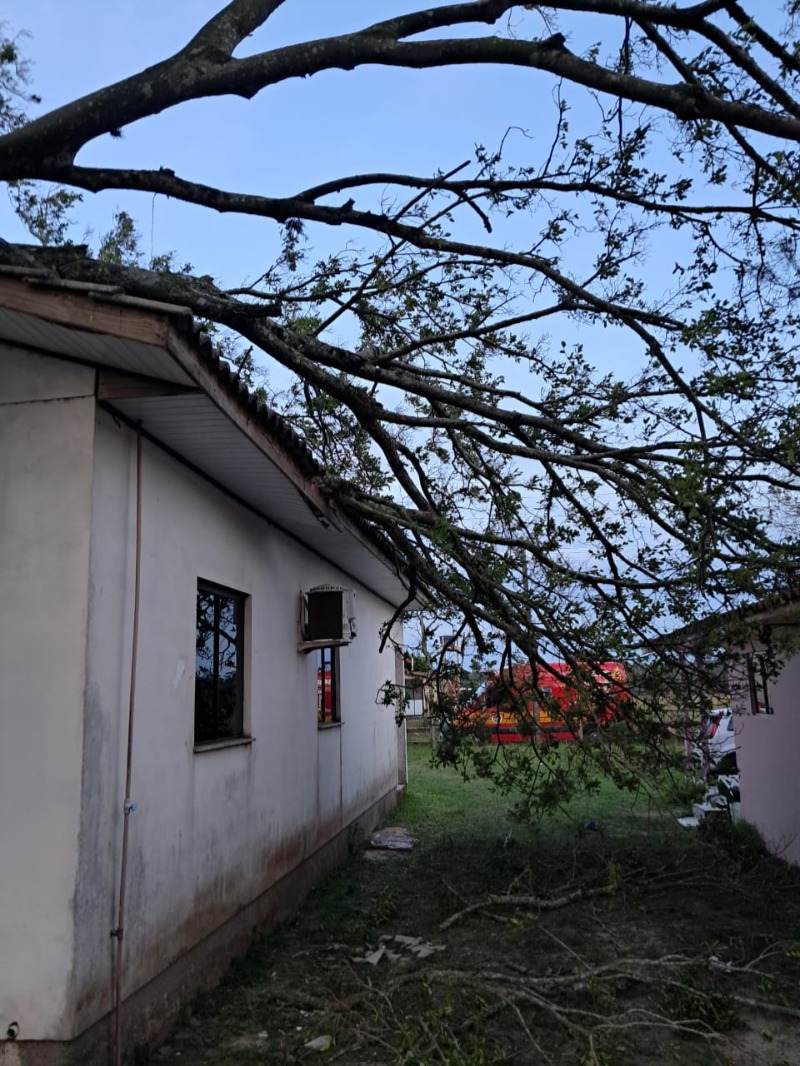 WhatsApp Image 2025-09-28 at 07.36.57