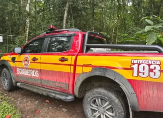 Homem desaparecido em Nova Veneza é encontrado