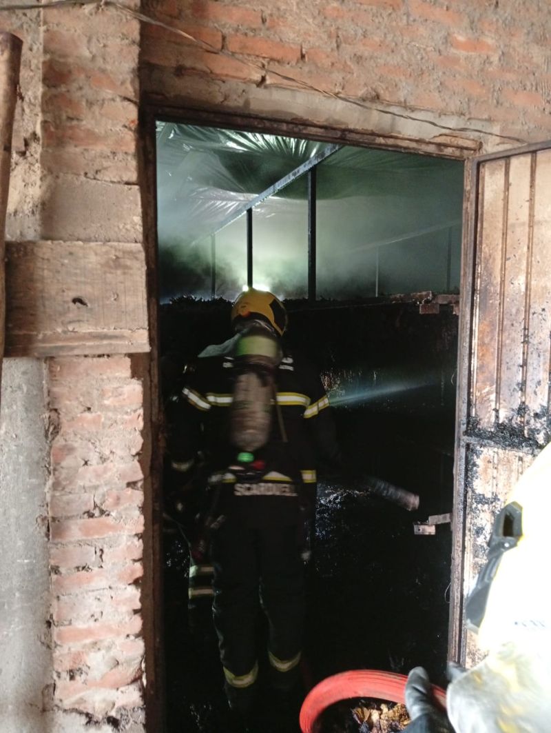 WhatsApp Image 2025-10-27 at 20.50.05 (1)