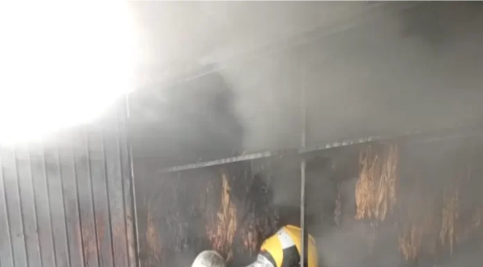 Estufa de fumo pega fogo em São João do Sul