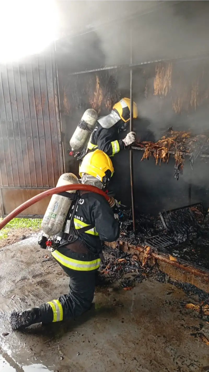 WhatsApp Image 2025-10-31 at 18.51.06 (1)