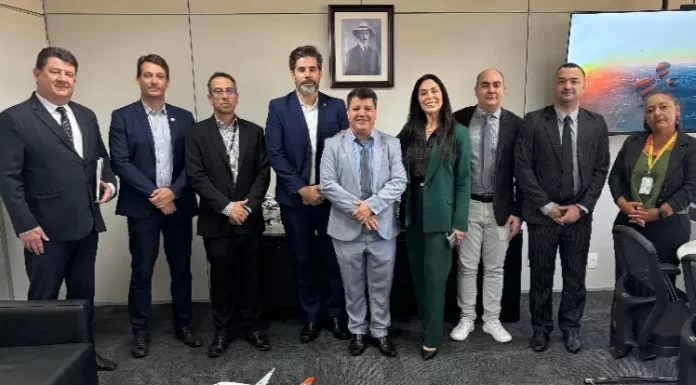 Fanica participa de reunião com a Anac sobre regulamentação do balonismo