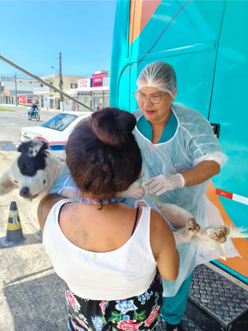 WhatsApp Image 2025-11-04 at 10.03.58