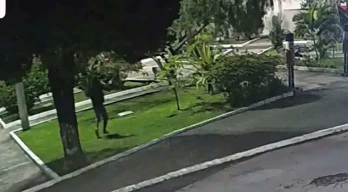 Polícia Civil identifica autores de vandalismo contra enfeites natalinos em Timbé do Sul