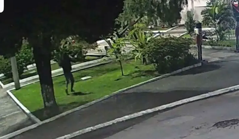 WhatsApp Image 2025-11-05 at 17.34.06