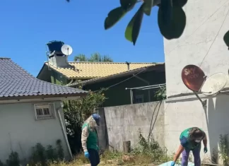 Balneário Gaivota intensifica ações de enfrentamento à dengue