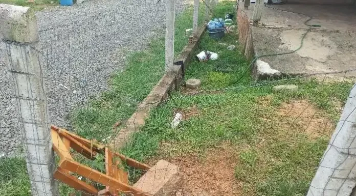 Mulher é gravemente ferida após ataque de cães pitbulls em Araranguá